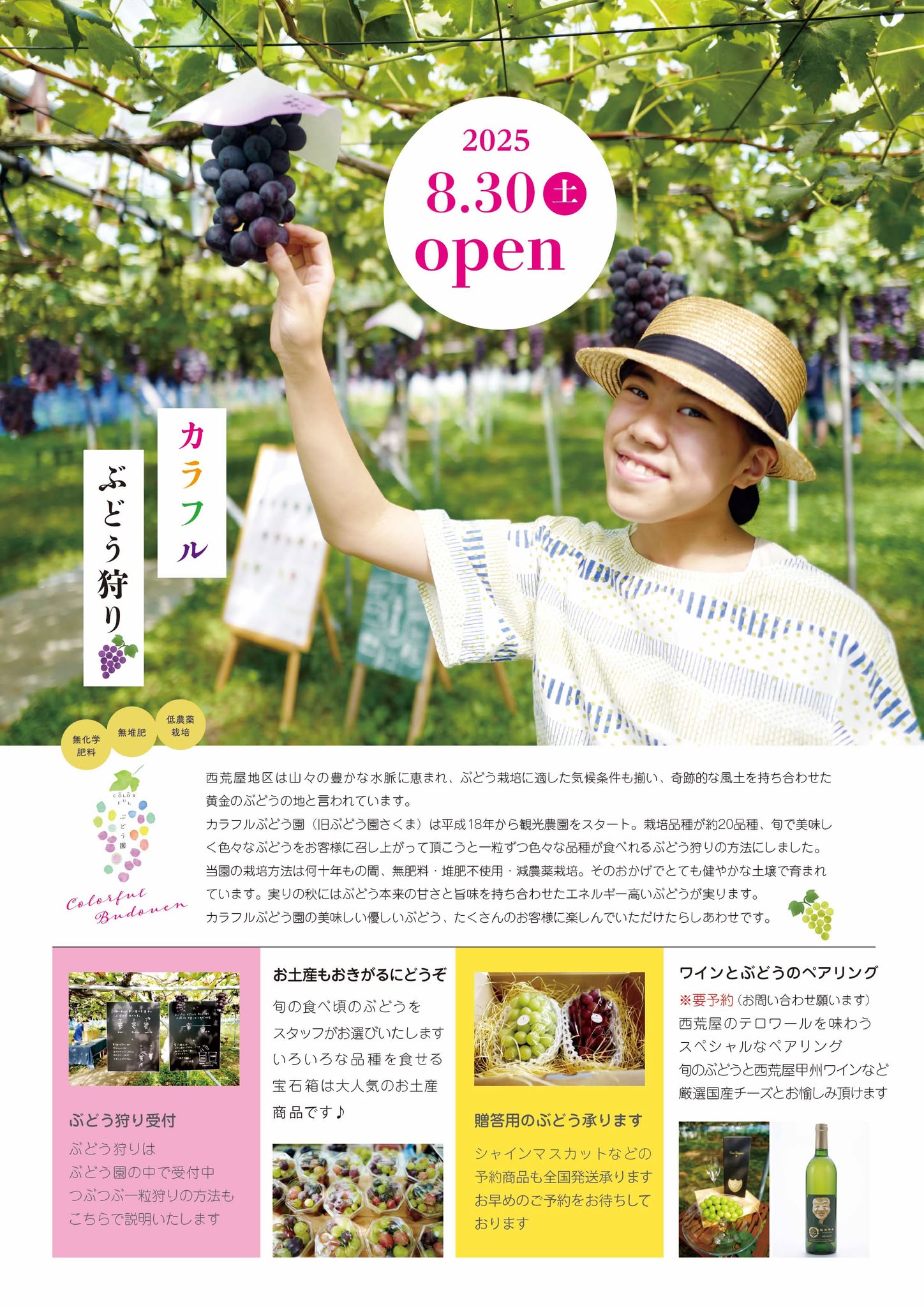 観光ぶどう園​ 2025年8月30日オープン♪ | カラフルぶどう園／カラフル